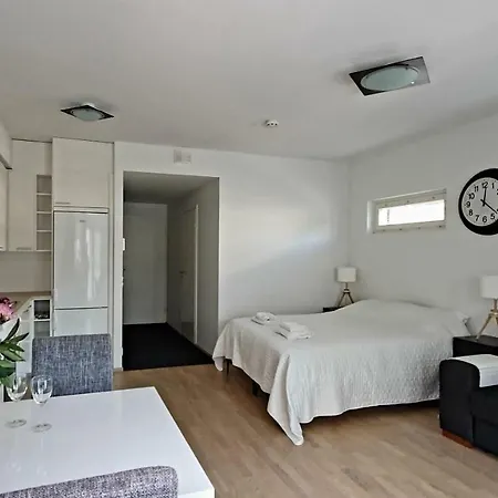 Apartment Central Studio With Sauna & Parking